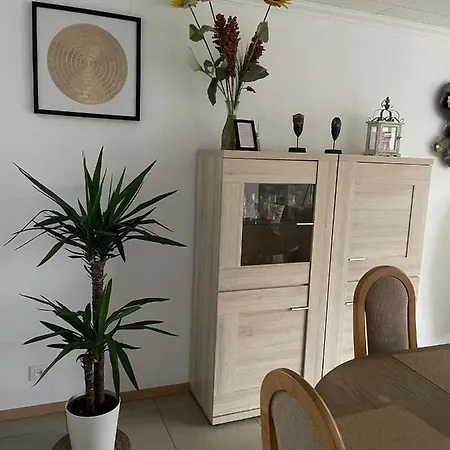Superb Appartement With 3 Bed Rooms In Antwerpen Exterior photo